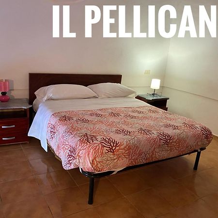 Ponzamania La Terrazza Di Cala Feola Apartment ภายนอก รูปภาพ