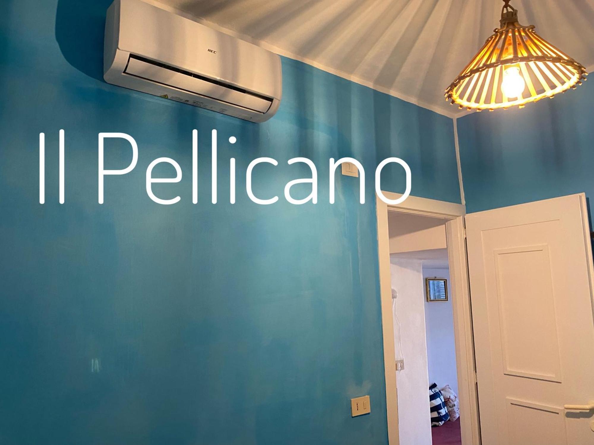 Ponzamania La Terrazza Di Cala Feola Apartment ภายนอก รูปภาพ